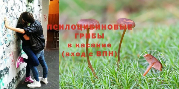 spice Балабаново