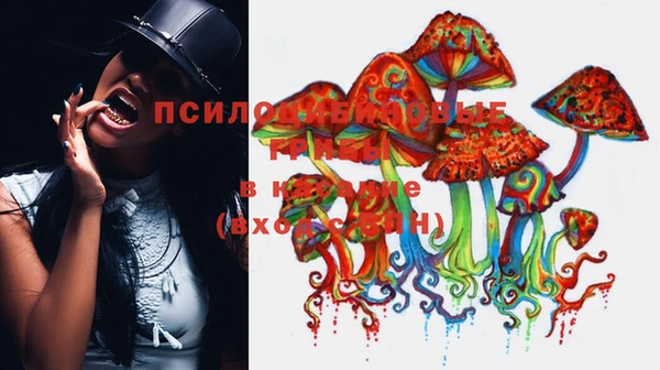 spice Балабаново